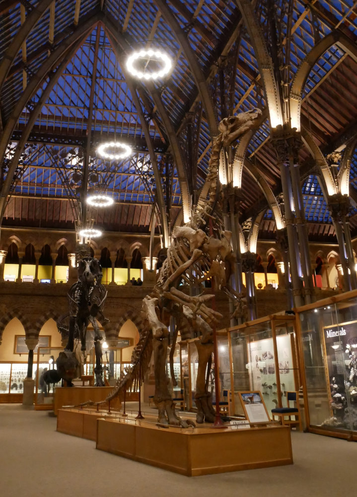 Oxford University Museum of Natural History